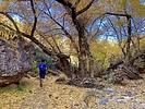 photo thumbnail #3