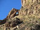 photo thumbnail #5