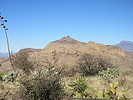 photo thumbnail #12