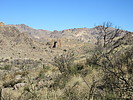 photo thumbnail #15