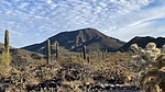 photo thumbnail #1