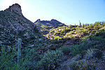 photo thumbnail #8