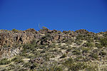 photo thumbnail #14