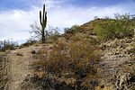 photo thumbnail #2