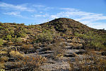 photo thumbnail #10