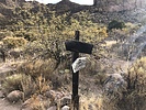 photo thumbnail #9