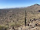 photo thumbnail #2