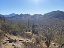 photo thumbnail #3