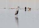photo thumbnail #15