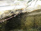 photo thumbnail #11