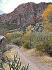 photo thumbnail #4