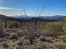 photo thumbnail #2