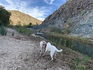 photo thumbnail #5