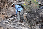 photo thumbnail #1