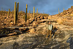 photo thumbnail #6