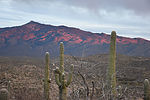 photo thumbnail #8