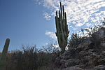 photo thumbnail #7