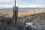 photo thumbnail #10