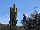 photo thumbnail #11