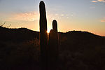 photo thumbnail #13