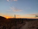 photo thumbnail #14
