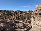 photo thumbnail #15