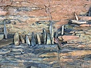 photo thumbnail #9