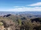 photo thumbnail #4