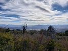 photo thumbnail #6