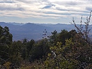 photo thumbnail #7