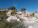 photo thumbnail #9