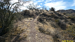 photo thumbnail #15