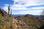 photo thumbnail #8