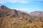 photo thumbnail #13