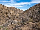 photo thumbnail #15