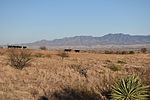 photo thumbnail #11