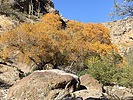 photo thumbnail #3