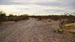 photo thumbnail #2