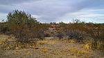 photo thumbnail #4