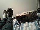 photo thumbnail #4