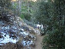 photo thumbnail #1