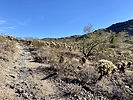 photo thumbnail #1