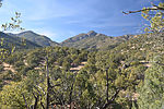 photo thumbnail #7