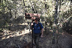 photo thumbnail #9