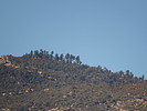 photo thumbnail #11