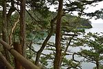 photo thumbnail #9