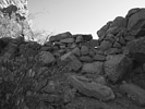 photo thumbnail #11