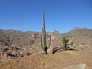 photo thumbnail #4