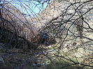 photo thumbnail #5