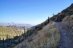 photo thumbnail #3